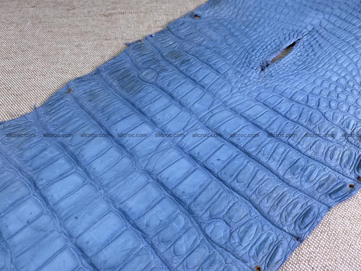 Crocodile skin belly part 32cm baby blue color 1513 Foto 10