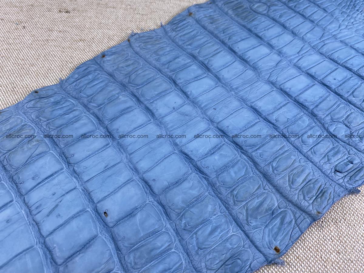 Crocodile skin belly part 32cm baby blue color 1513 Foto 11