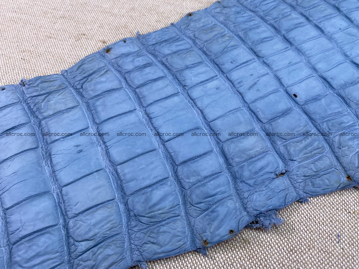 Crocodile skin belly part 32cm baby blue color 1513 Foto 12