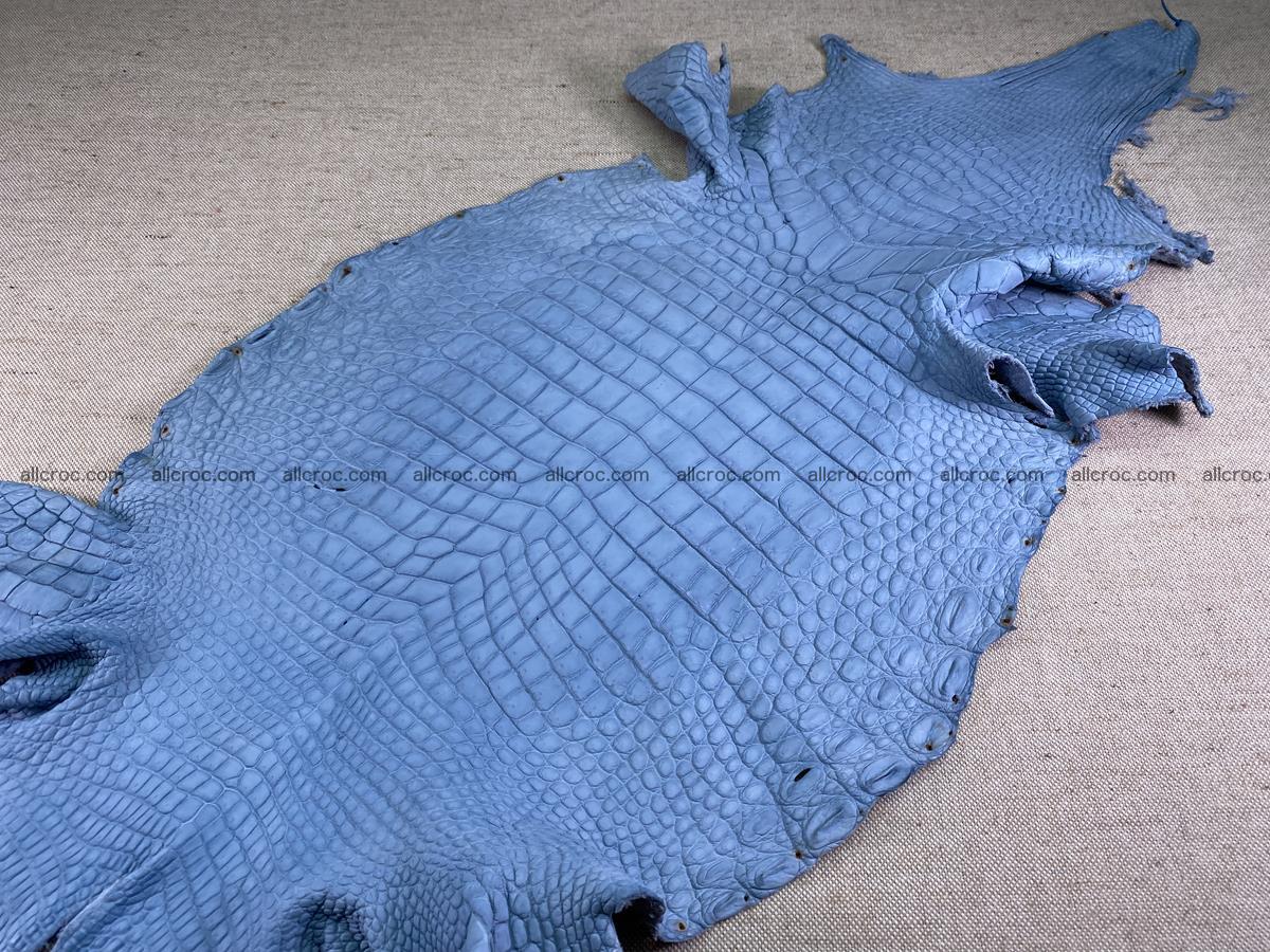 Crocodile skin belly part 34cm baby blue color 1514 Foto 2