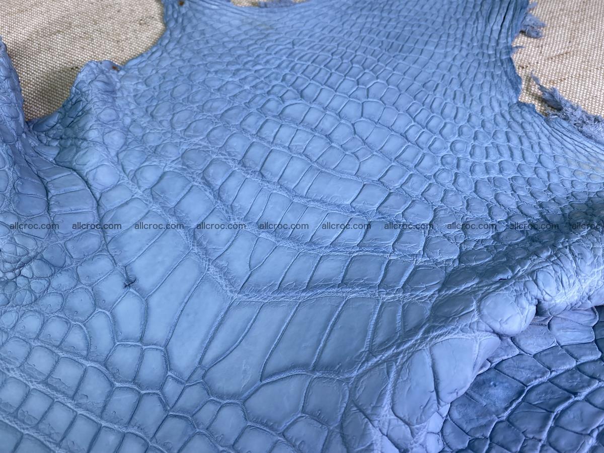 Crocodile skin belly part 34cm baby blue color 1514 Foto 3