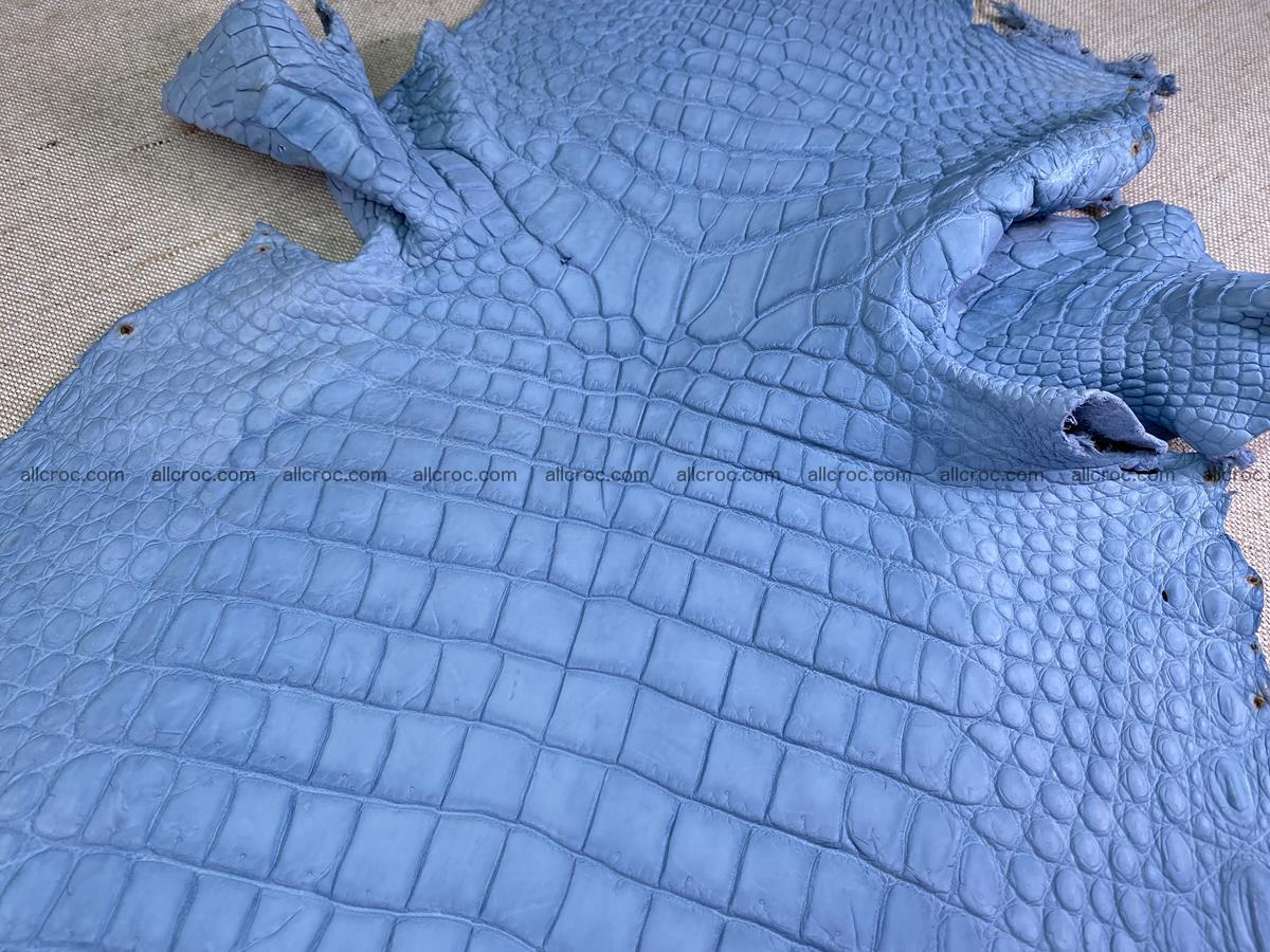 Crocodile skin belly part 34cm baby blue color 1514 Foto 1