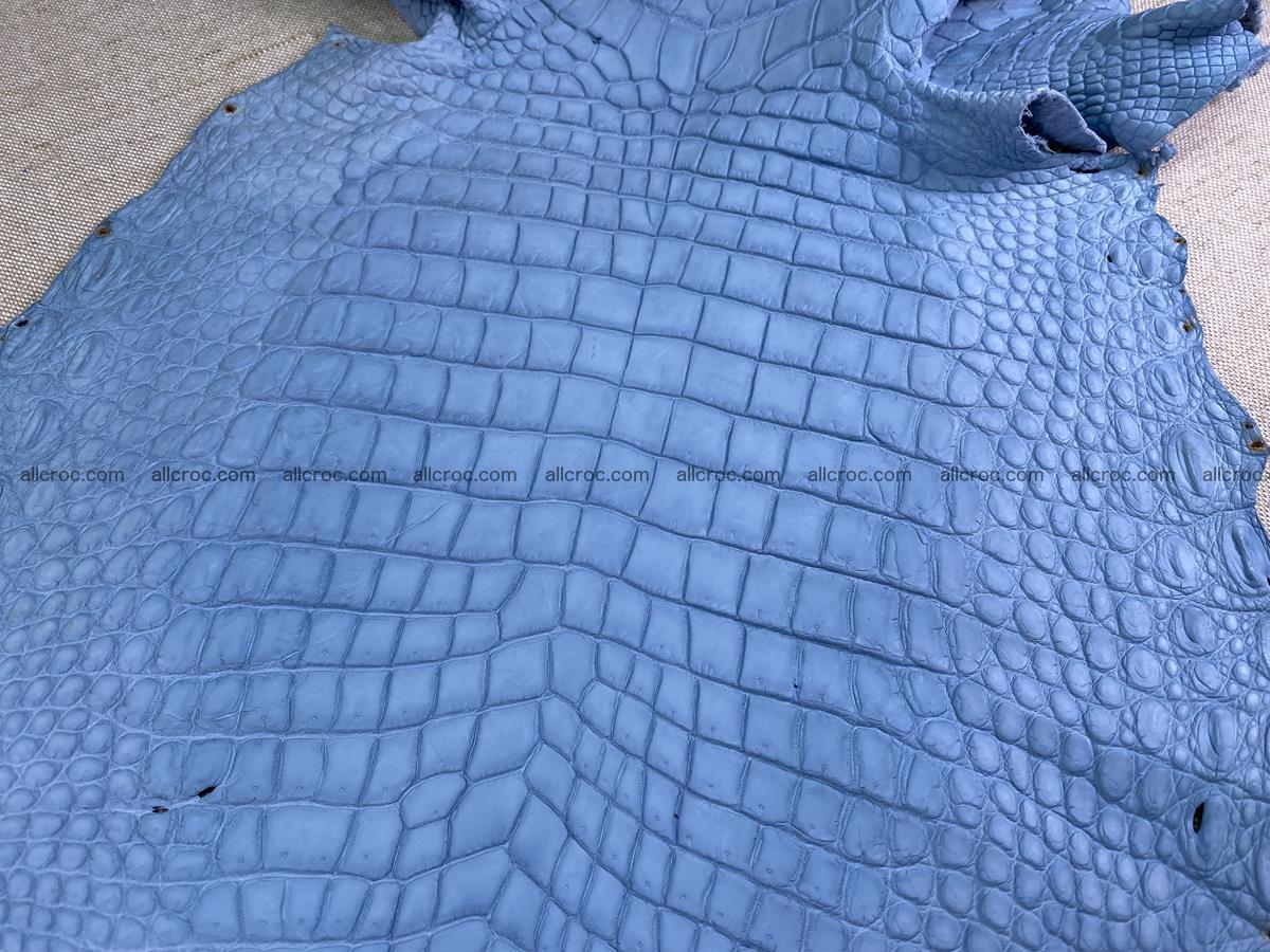 Crocodile skin belly part 34cm baby blue color 1514 Foto 0