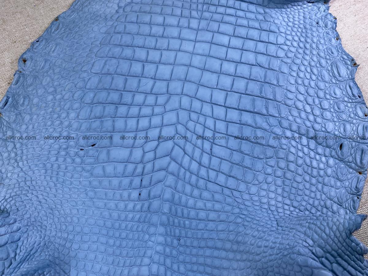 Crocodile skin belly part 34cm baby blue color 1514 Foto 4