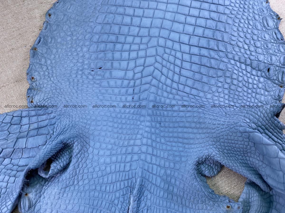Crocodile skin belly part 34cm baby blue color 1514 Foto 5