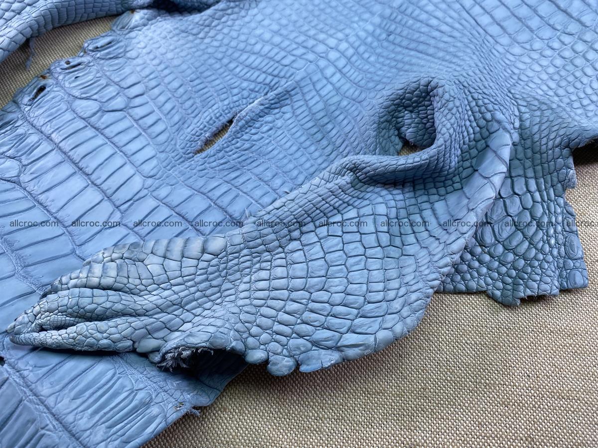 Crocodile skin belly part 34cm baby blue color 1514 Foto 7