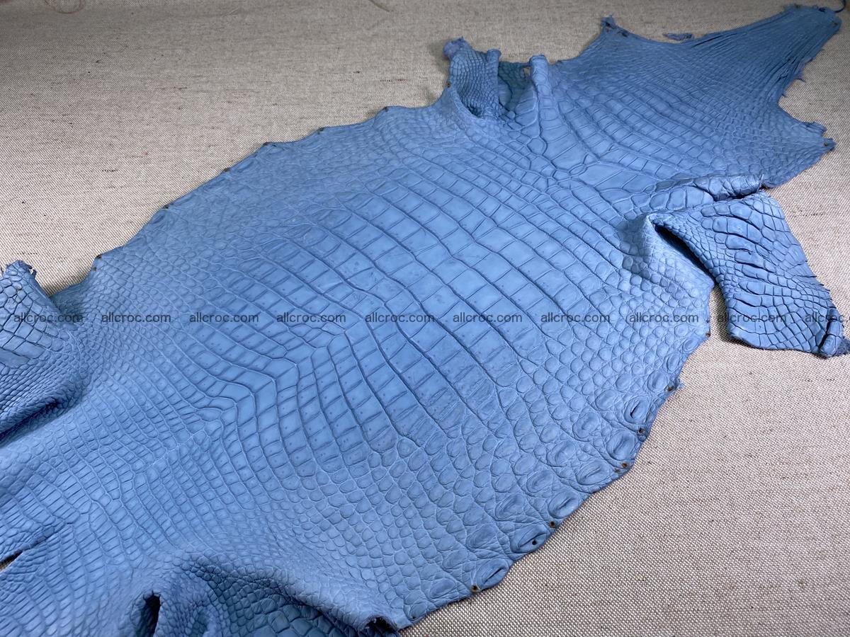 Crocodile skin belly part 35cm baby blue color 1515 Foto 1