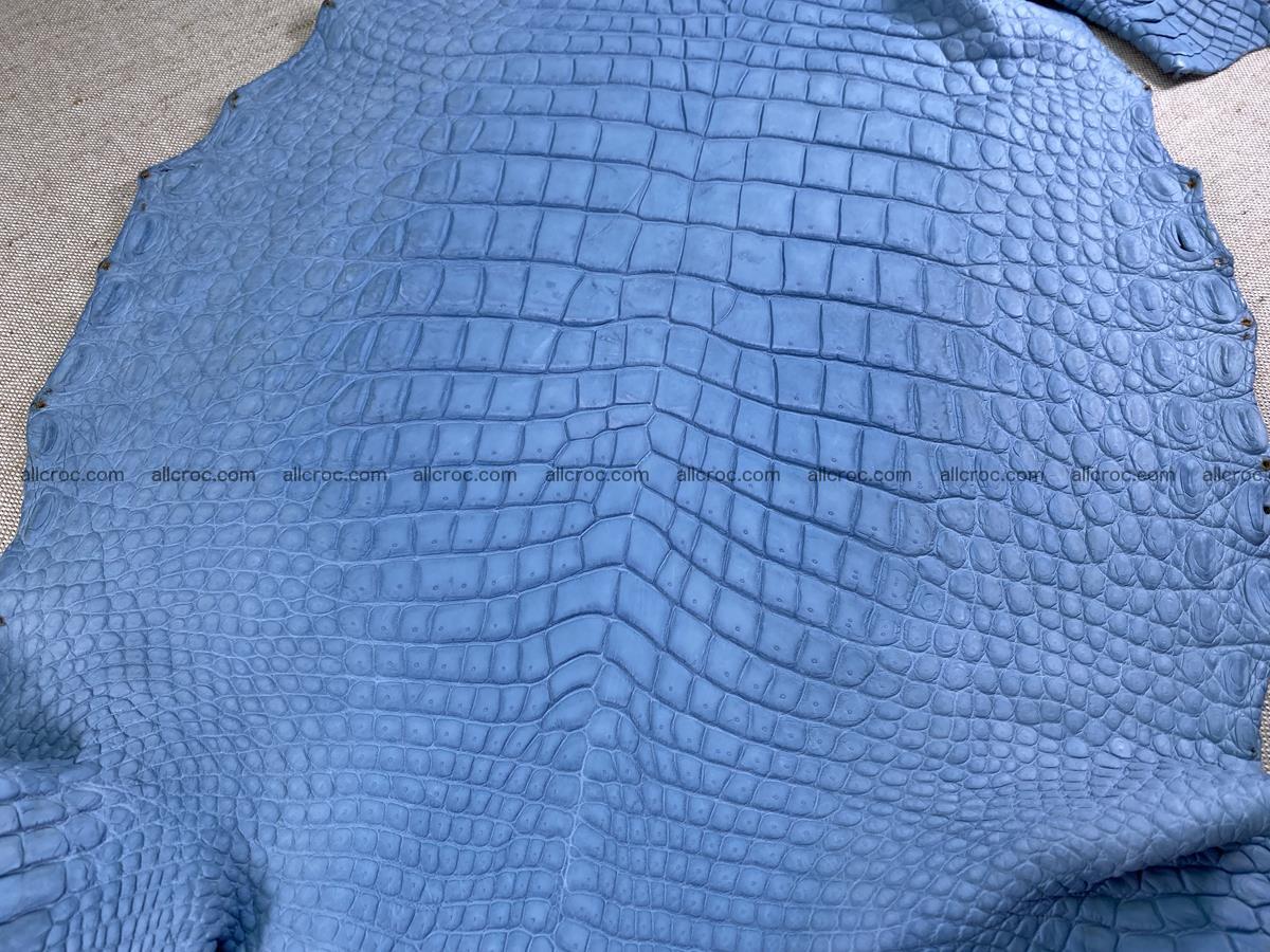 Crocodile skin belly part 35cm baby blue color 1515 Foto 0