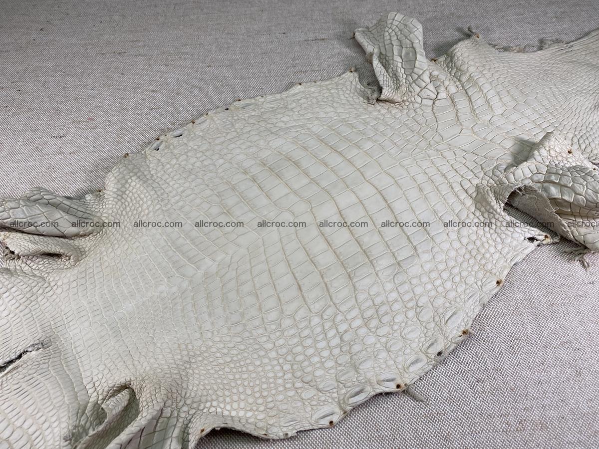 Crocodile skin belly part 28cm beige color 1500 Foto 2
