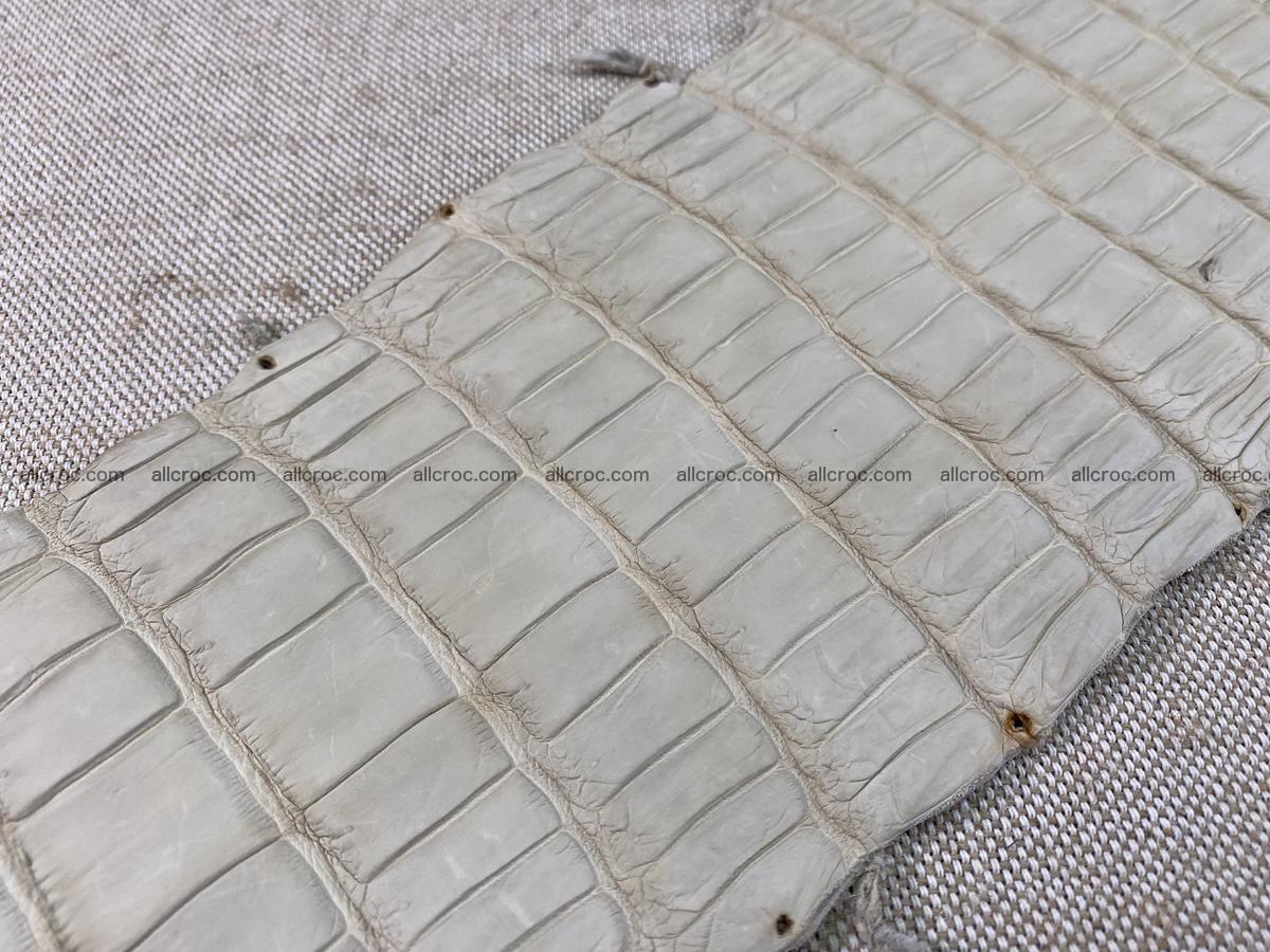 Crocodile skin belly part 28cm beige color 1500 Foto 9