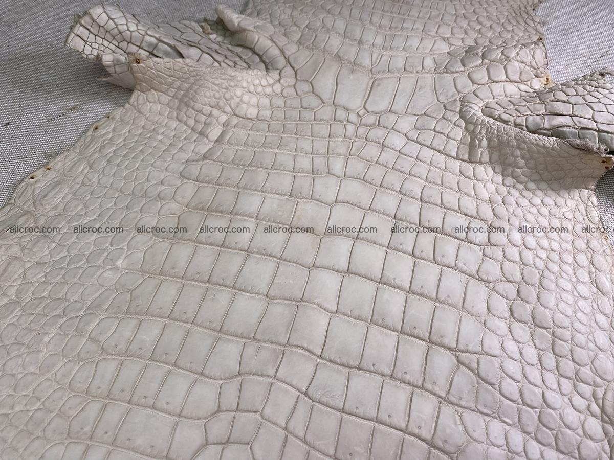 Crocodile skin belly part 34cm beige color 1507 Foto 0