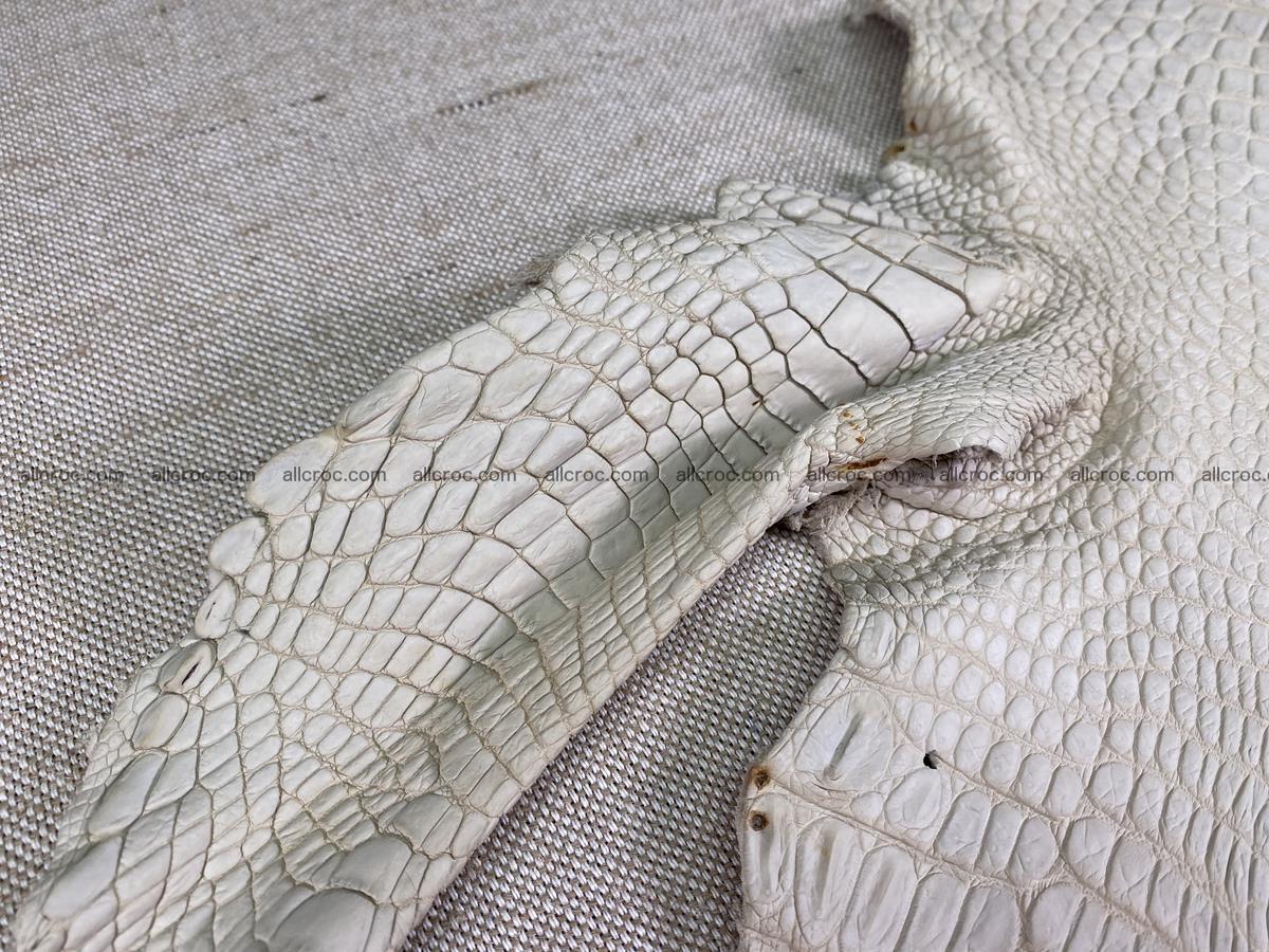 Crocodile skin belly part 28cm beige color 1500 Foto 11
