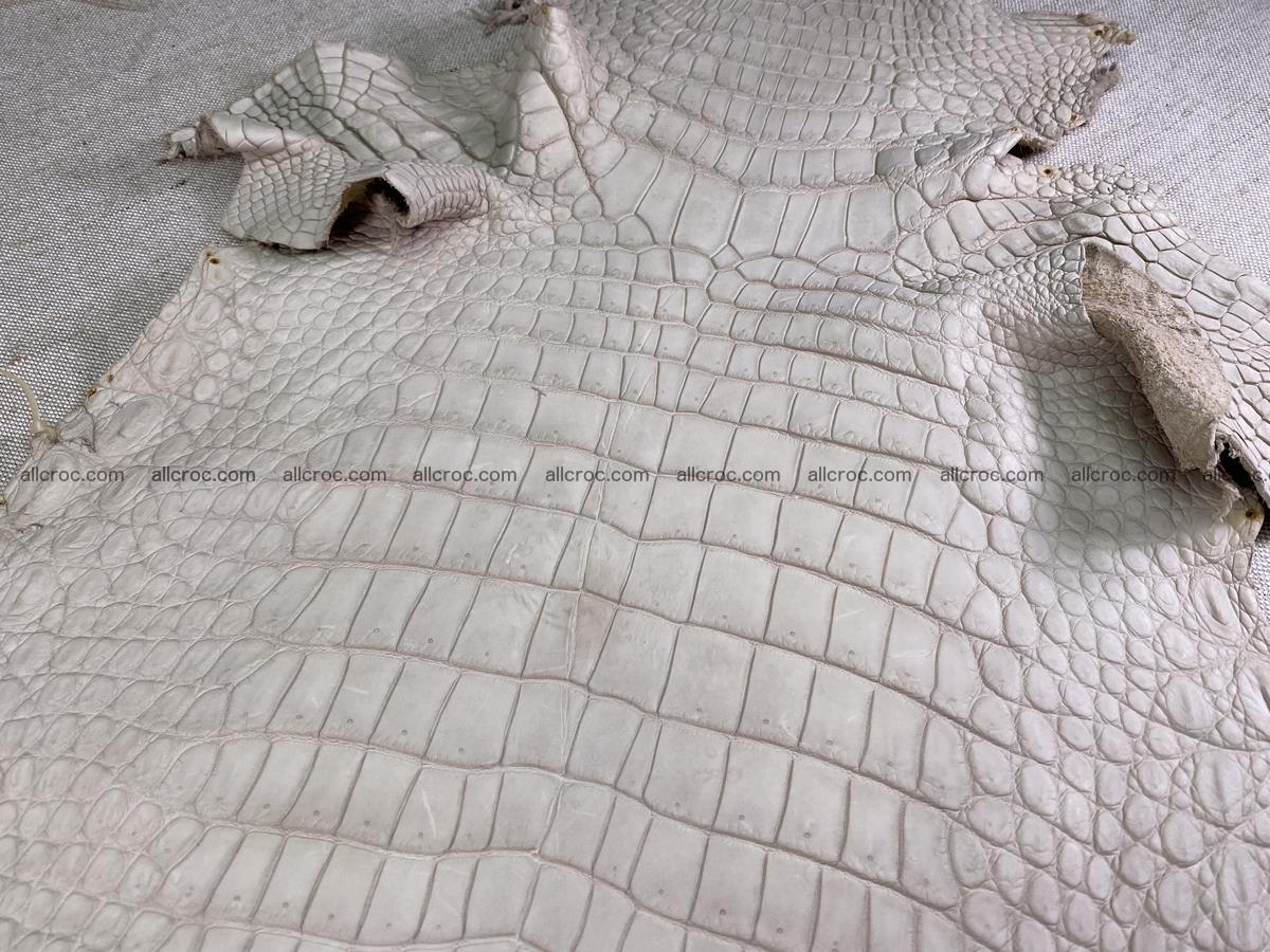 Crocodile skin belly part 35cm beige color 1508 Foto 0