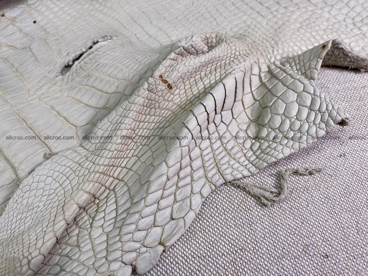 Crocodile skin belly part 28cm beige color 1500 Foto 12