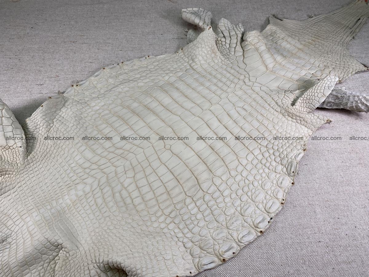 Crocodile skin belly part 31cm beige color 1501 Foto 1
