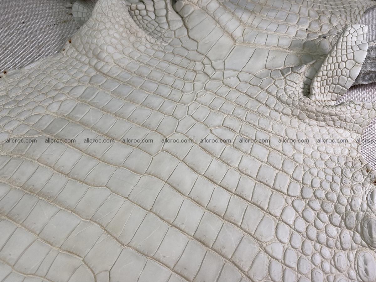 Crocodile skin belly part 31cm beige color 1501 Foto 3