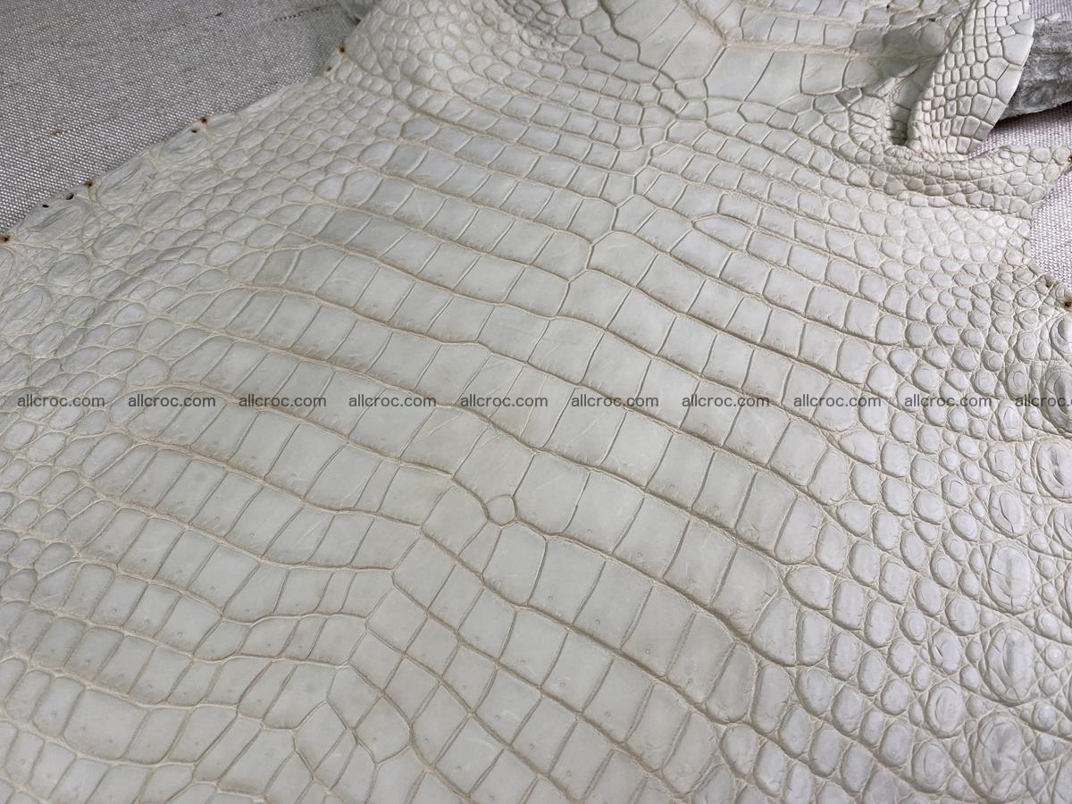 Crocodile skin belly part 31cm beige color 1501 Foto 4