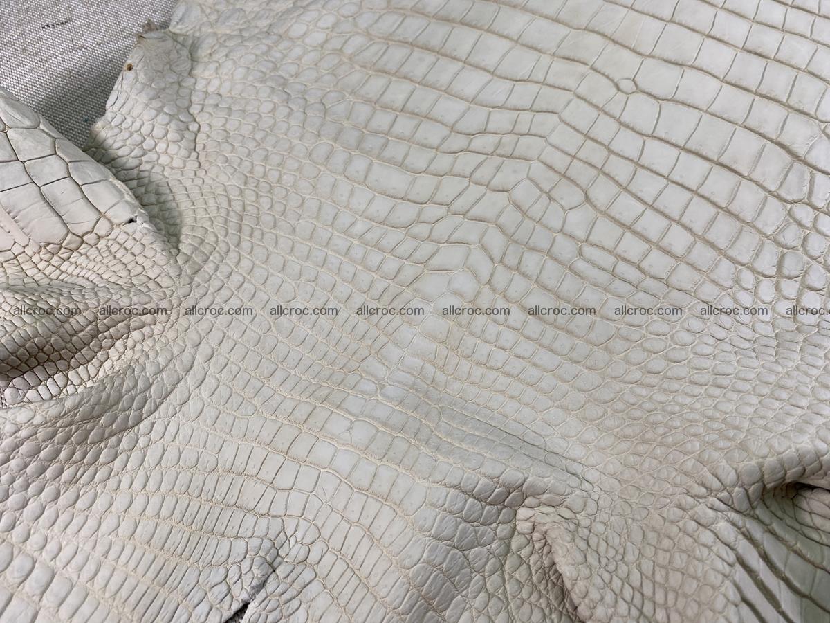 Crocodile skin belly part 31cm beige color 1501 Foto 6