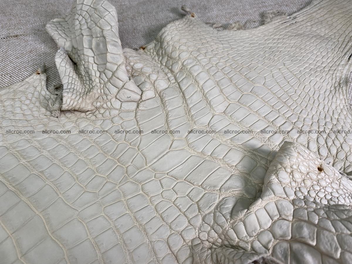 Crocodile skin belly part 28cm beige color 1500 Foto 3