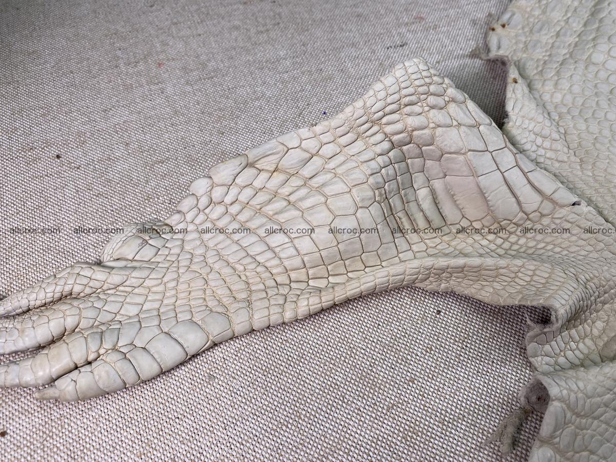 Crocodile skin belly part 31cm beige color 1501 Foto 7