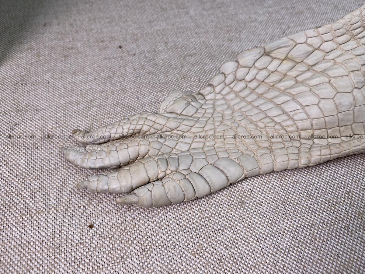 Crocodile skin belly part 31cm beige color 1501 Foto 8