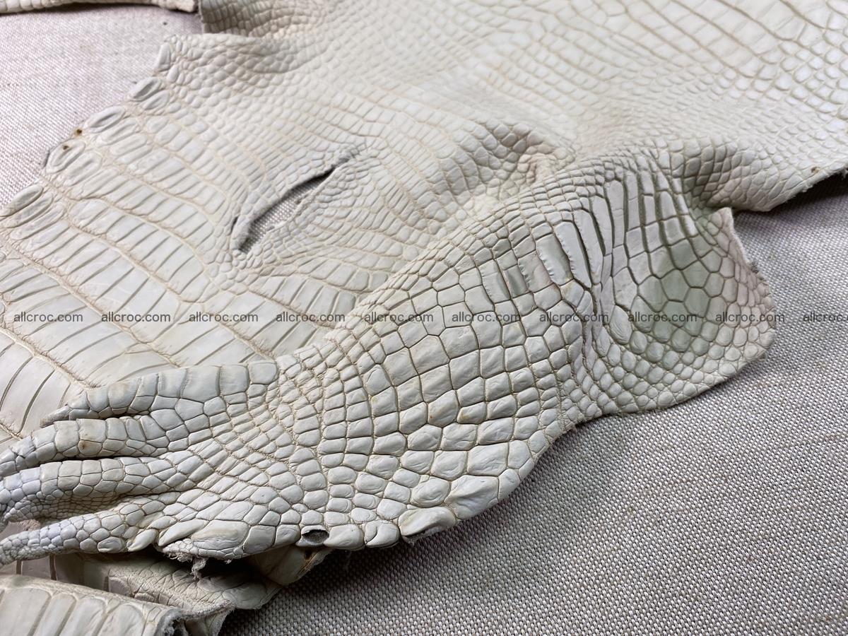 Crocodile skin belly part 31cm beige color 1501 Foto 9