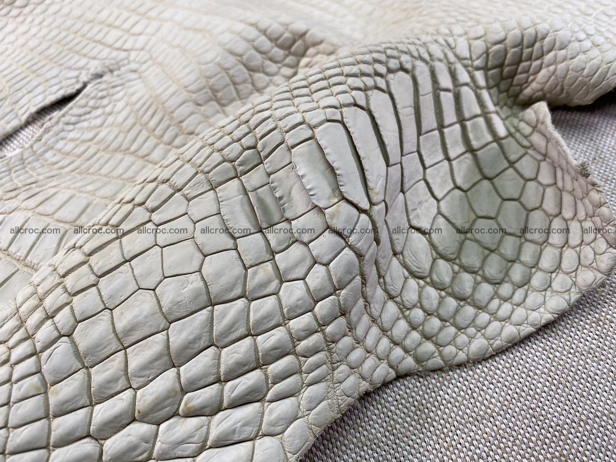 Crocodile skin belly part 31cm beige color 1501 Foto 10
