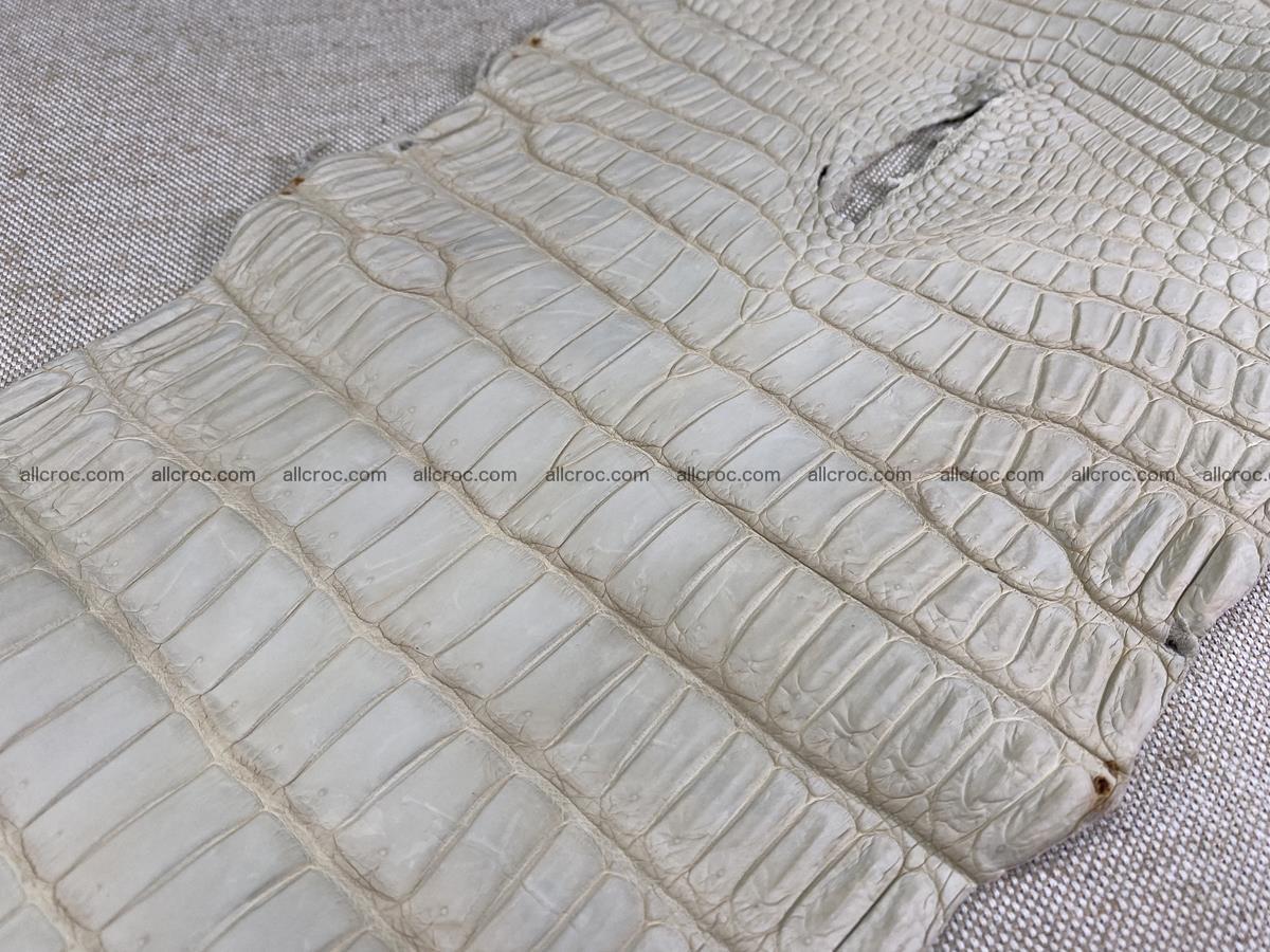 Crocodile skin belly part 31cm beige color 1501 Foto 11