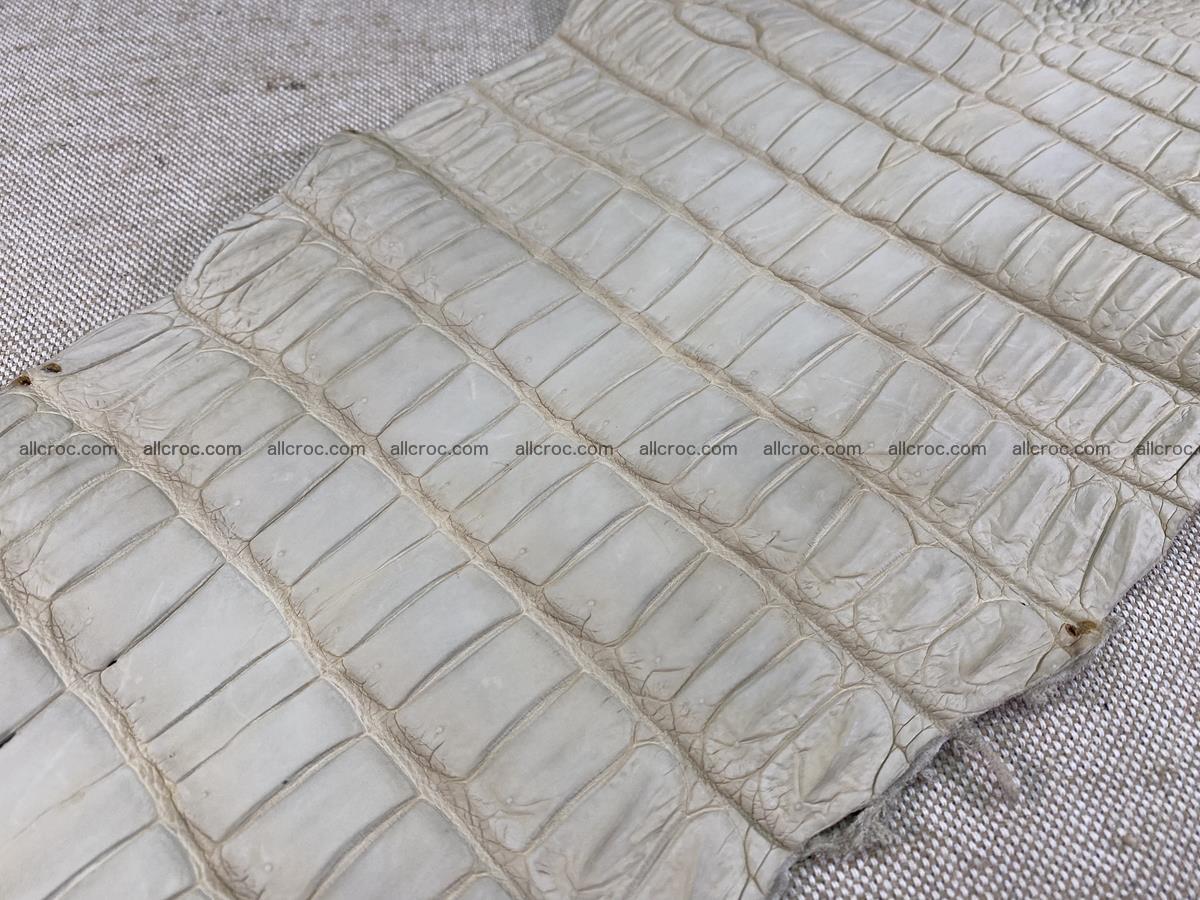 Crocodile skin belly part 31cm beige color 1501 Foto 12