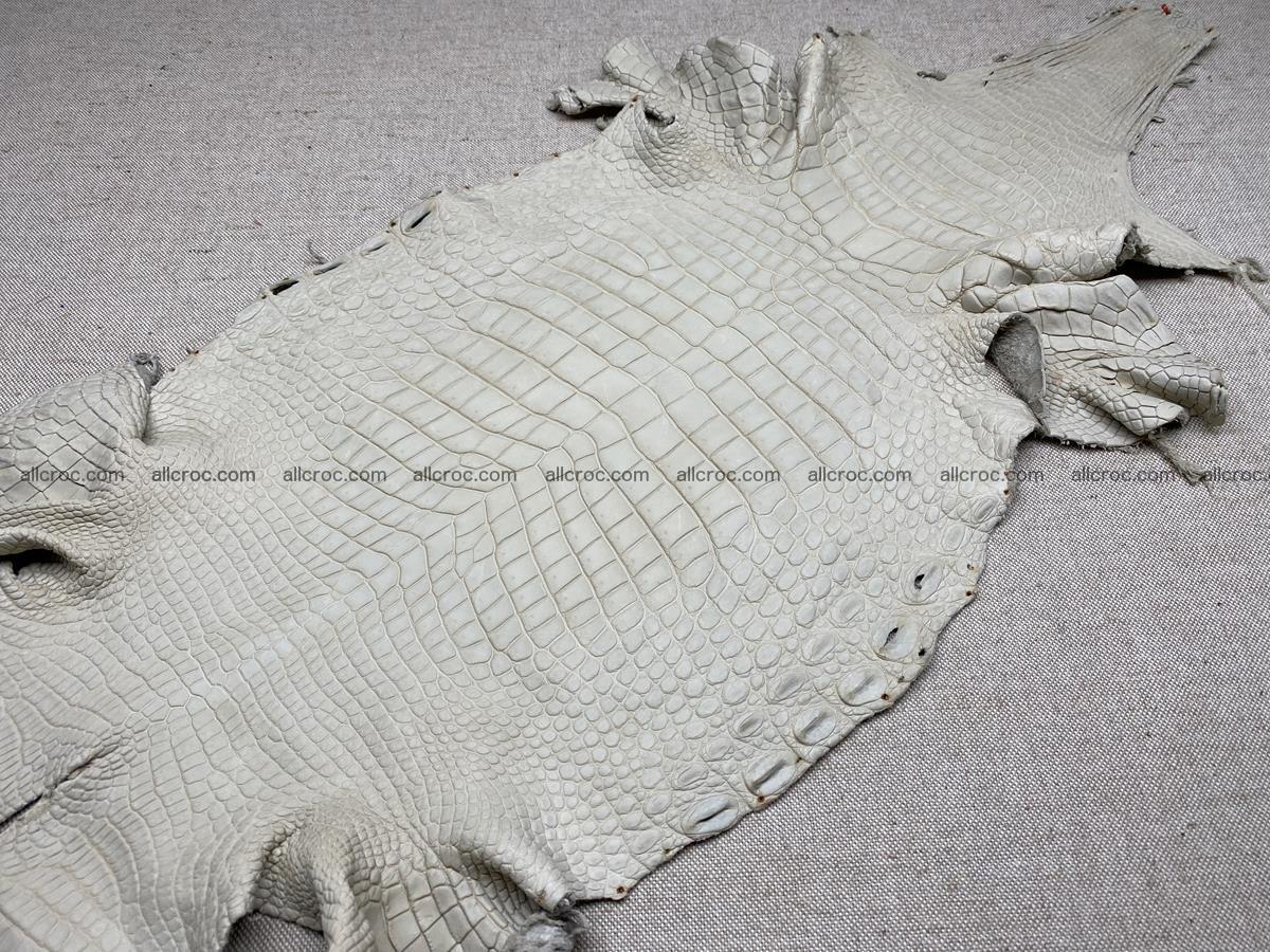 Crocodile skin belly part 34cm beige color 1502 Foto 1