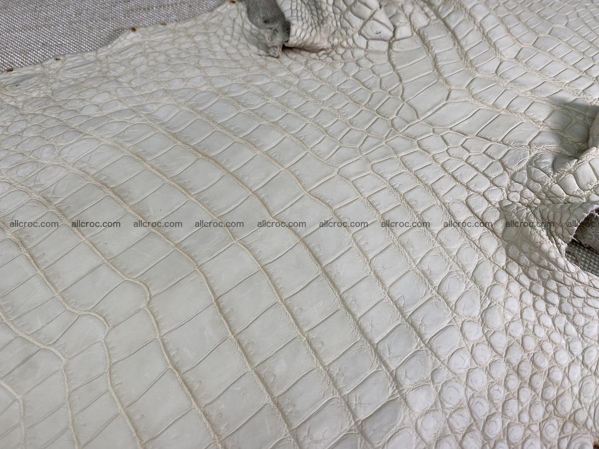 Crocodile skin belly part 28cm beige color 1500 Foto 0