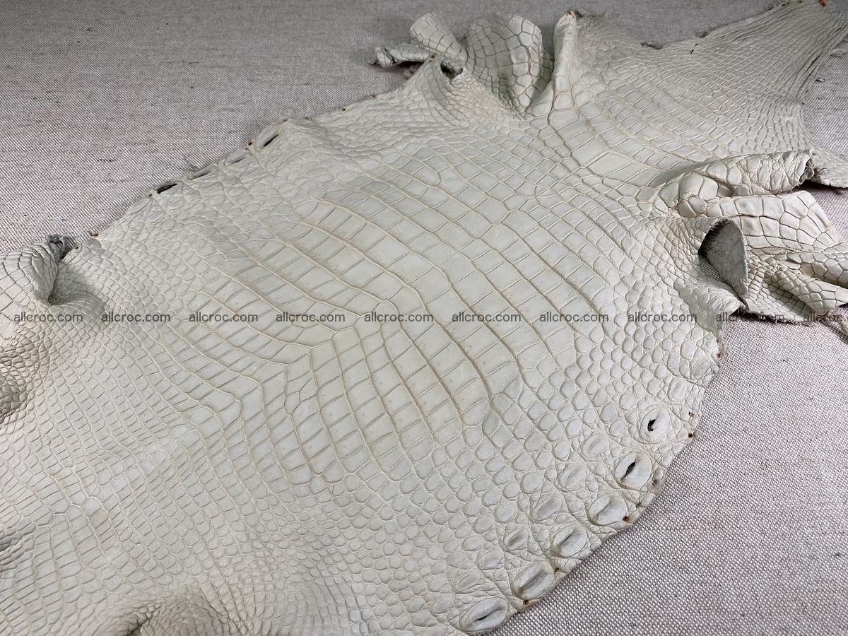 Crocodile skin belly part 34cm beige color 1502 Foto 2