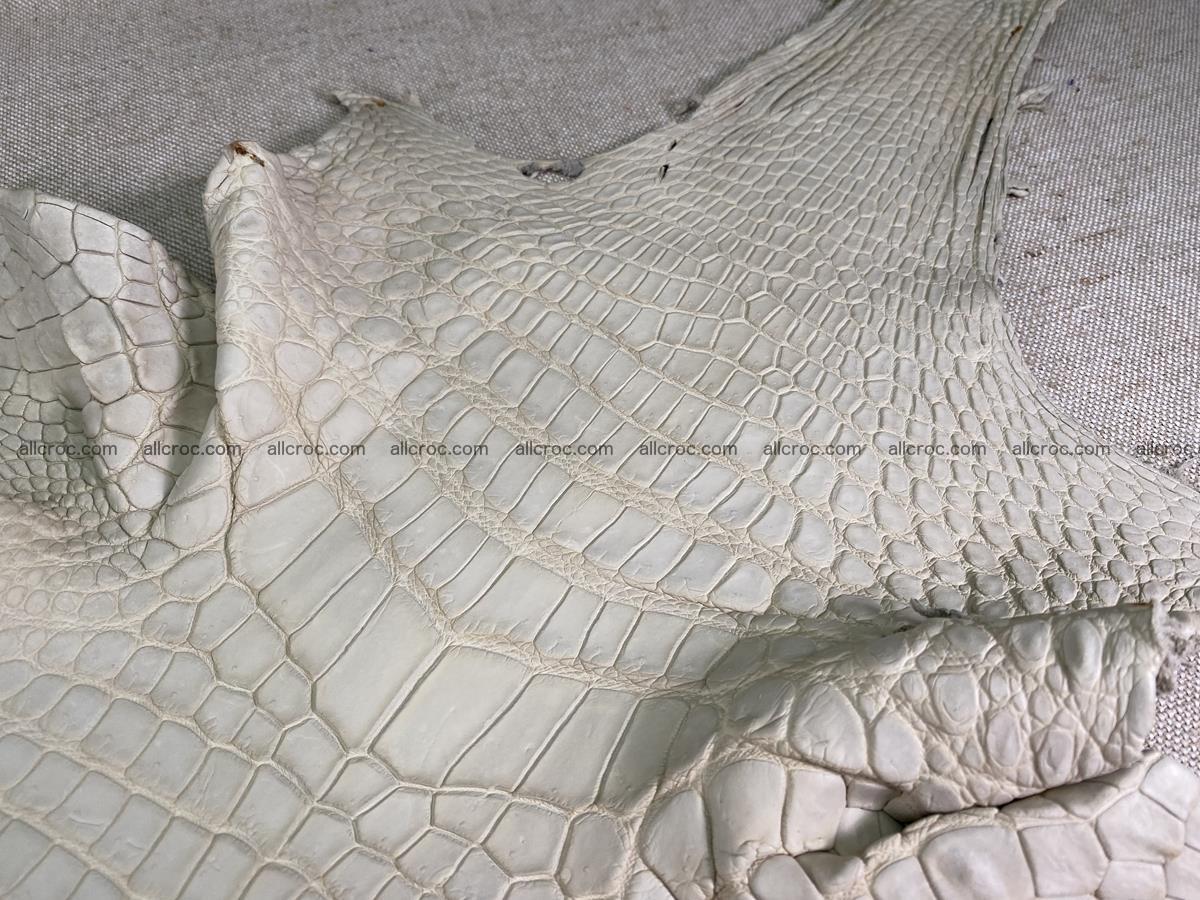 Crocodile skin belly part 34cm beige color 1502 Foto 3