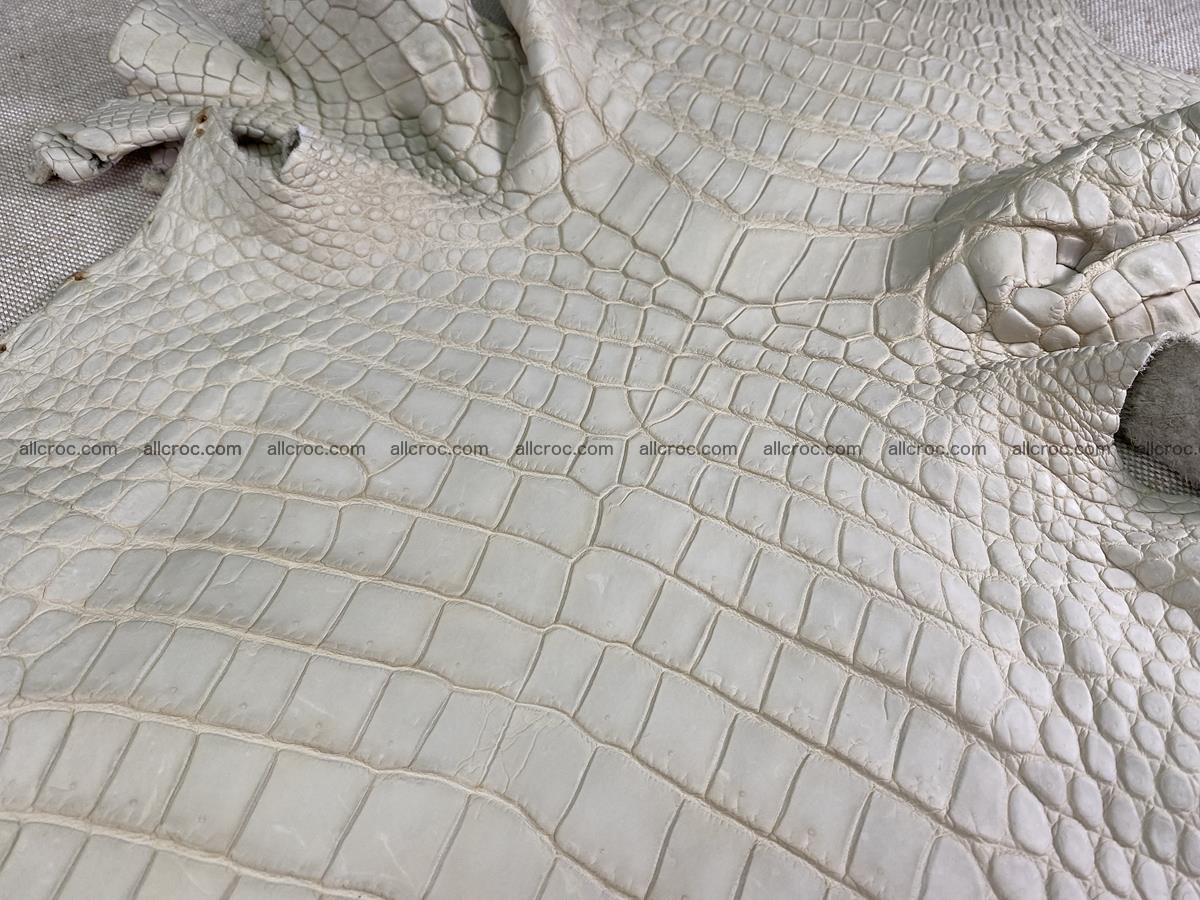Crocodile skin belly part 34cm beige color 1502 Foto 4