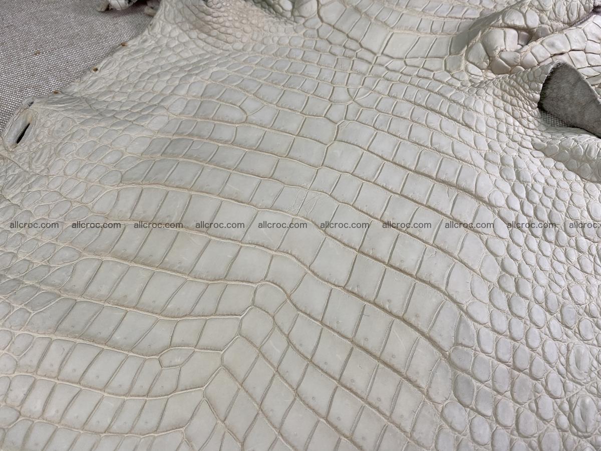 Crocodile skin belly part 34cm beige color 1502 Foto 0