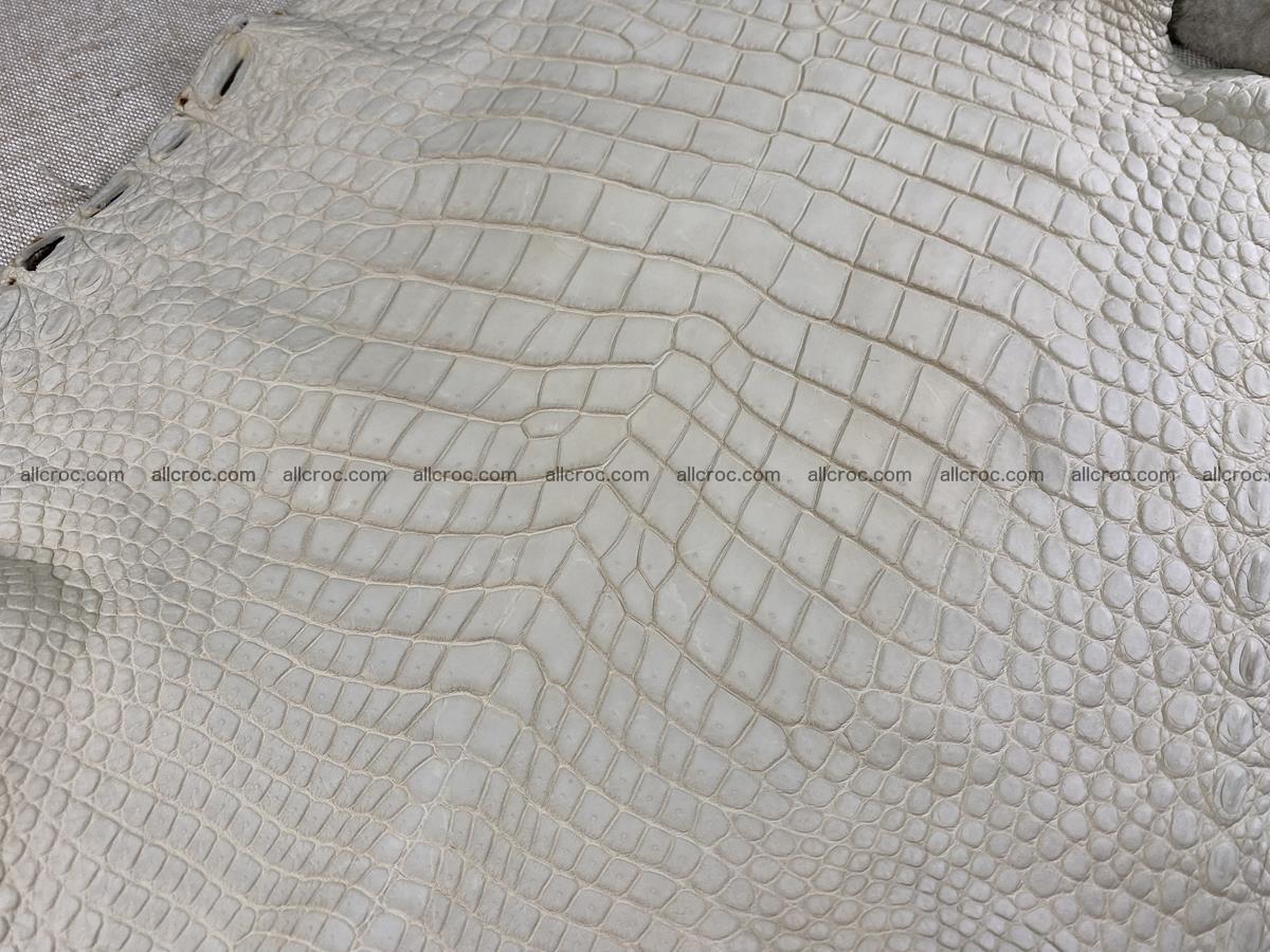 Crocodile skin belly part 34cm beige color 1502 Foto 5
