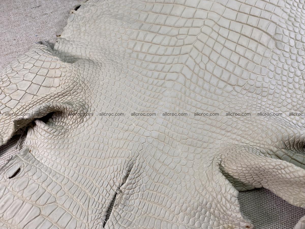 Crocodile skin belly part 34cm beige color 1502 Foto 6