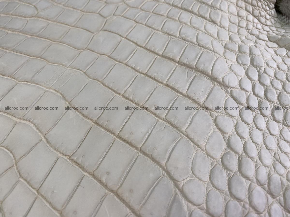 Crocodile skin belly part 34cm beige color 1502 Foto 8