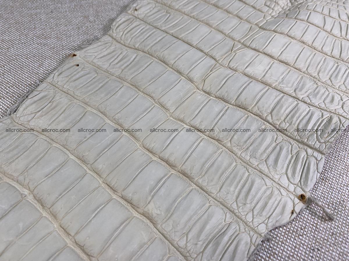 Crocodile skin belly part 34cm beige color 1502 Foto 12