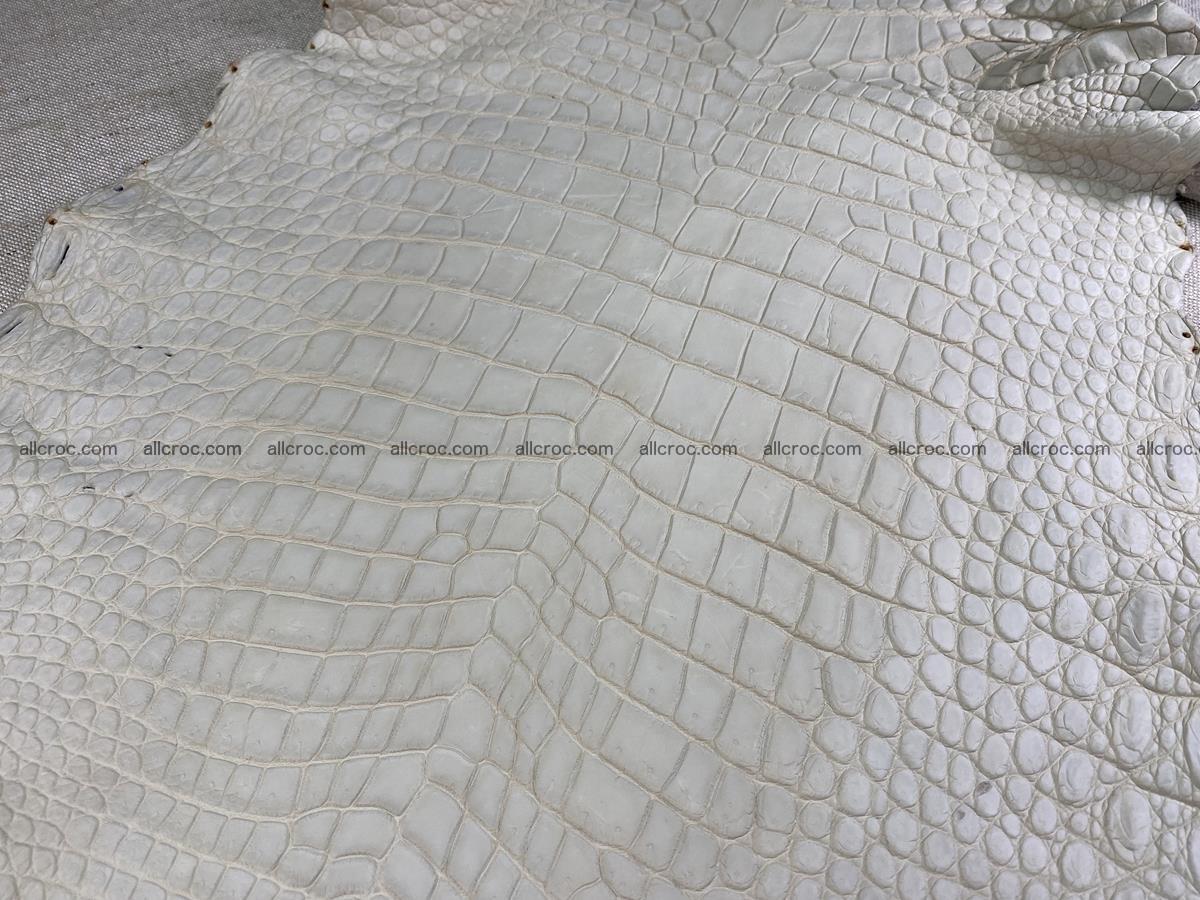 Crocodile skin belly part 38cm beige color 1503 Foto 0