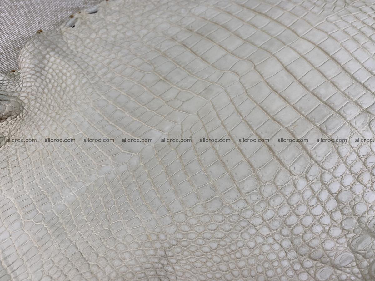 Crocodile skin belly part 28cm beige color 1500 Foto 5