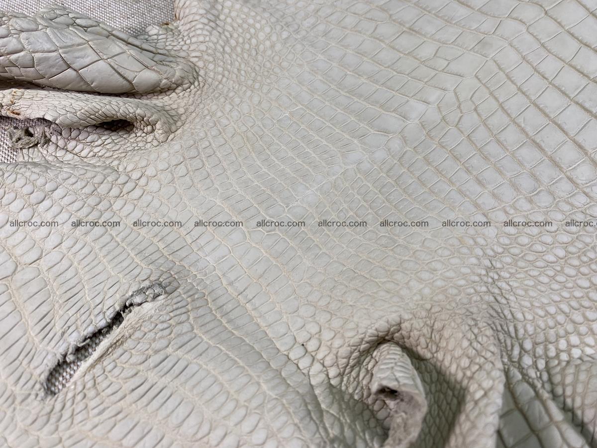 Crocodile skin belly part 28cm beige color 1500 Foto 6