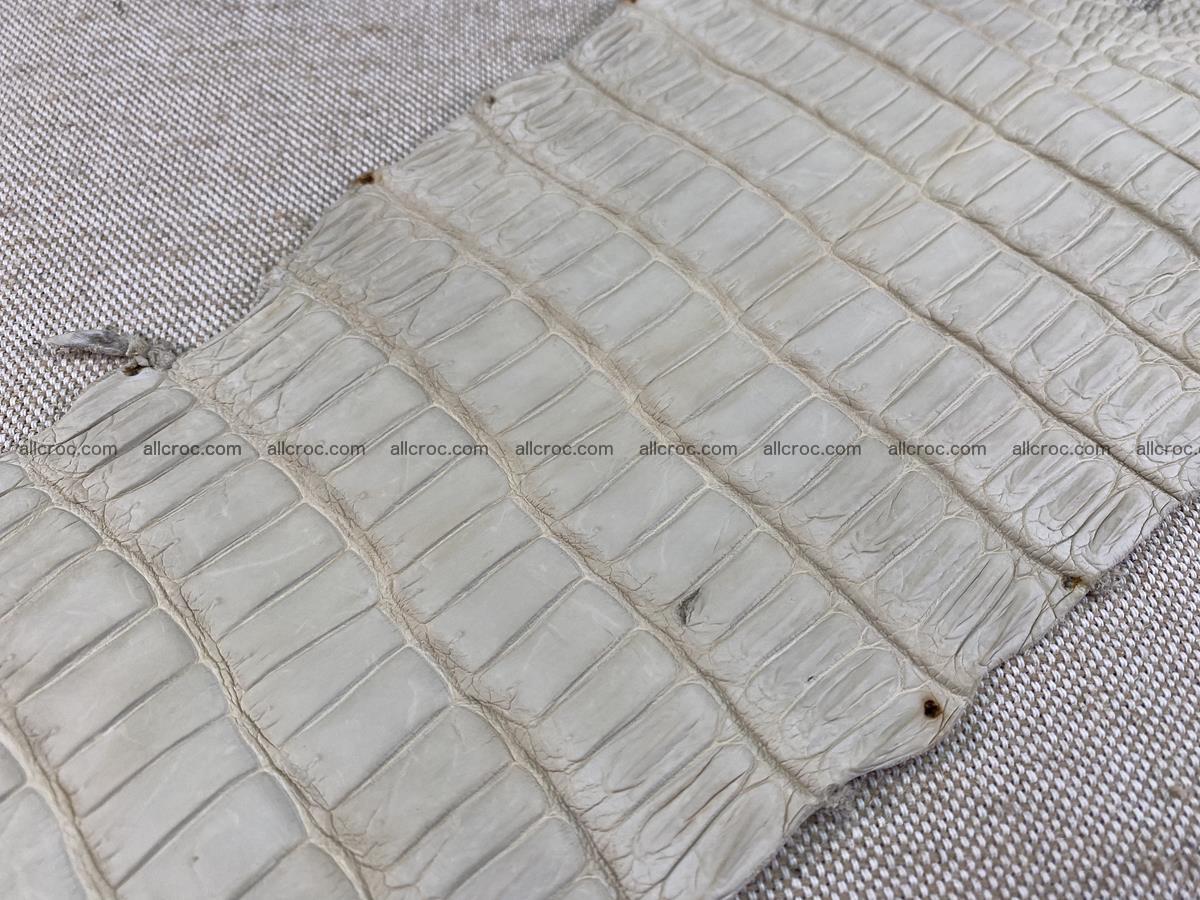 Crocodile skin belly part 28cm beige color 1500 Foto 8