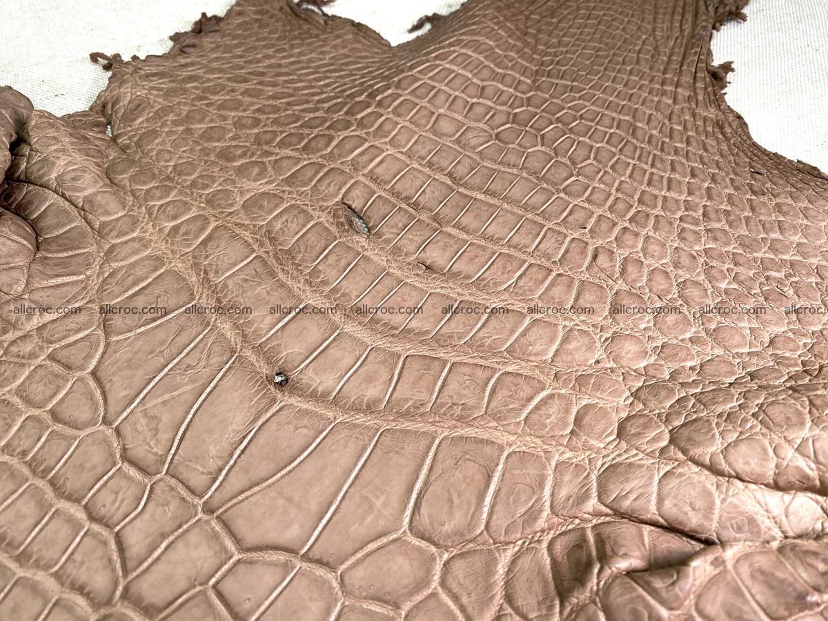 Crocodile skin belly part 42cm brown color 1479 Foto 2