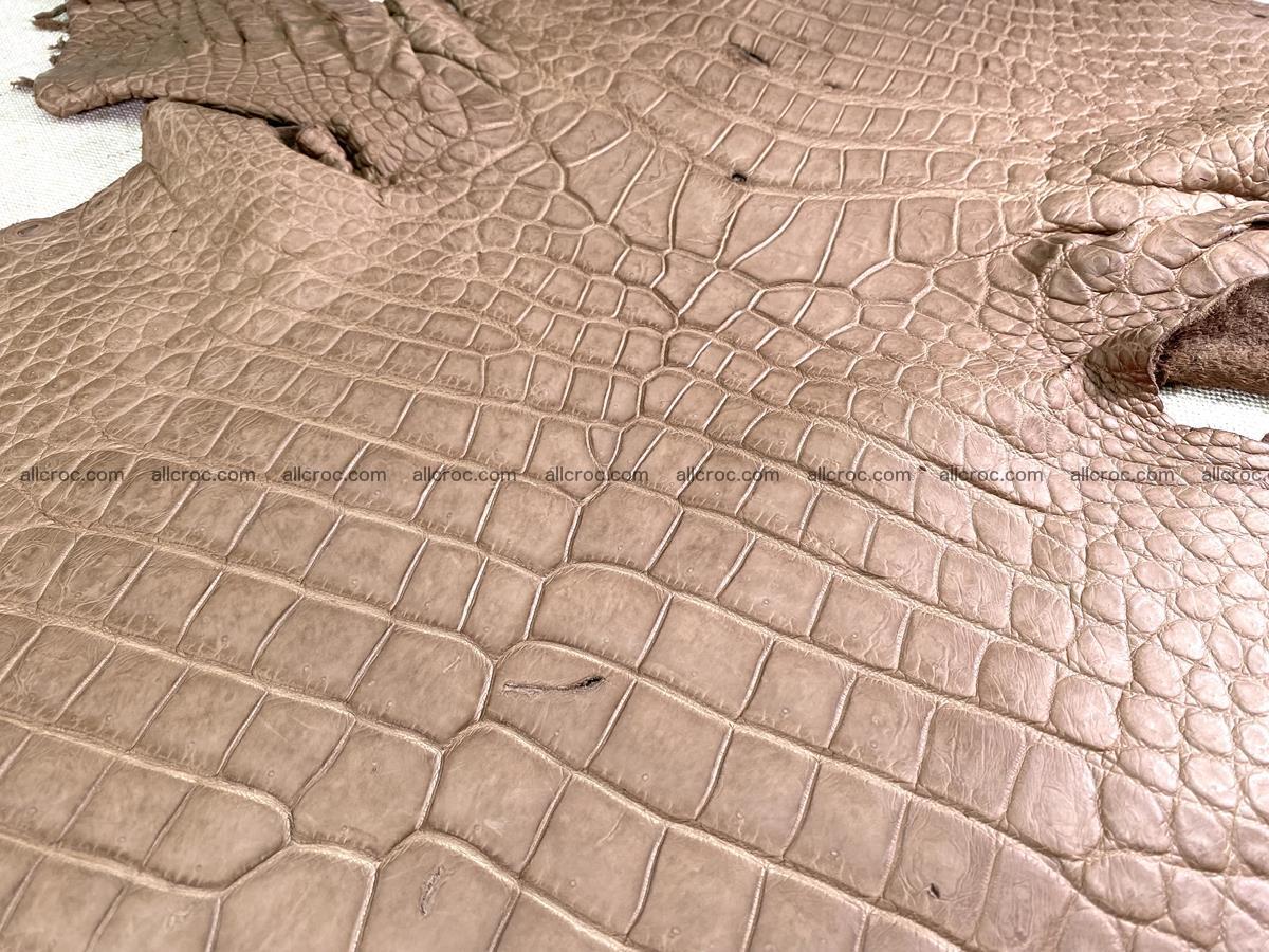 Crocodile skin belly part 42cm brown color 1479 Foto 1