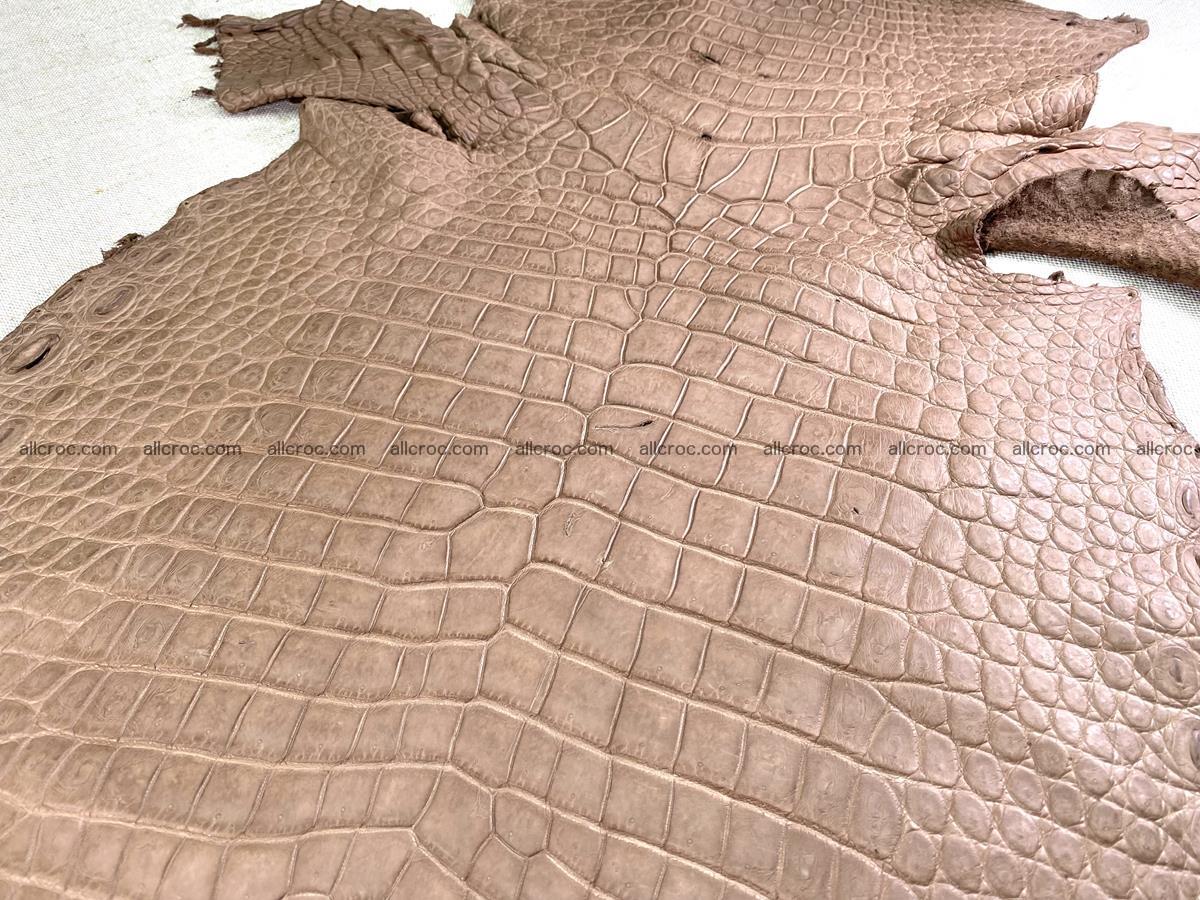 Crocodile skin belly part 42cm brown color 1479 Foto 3