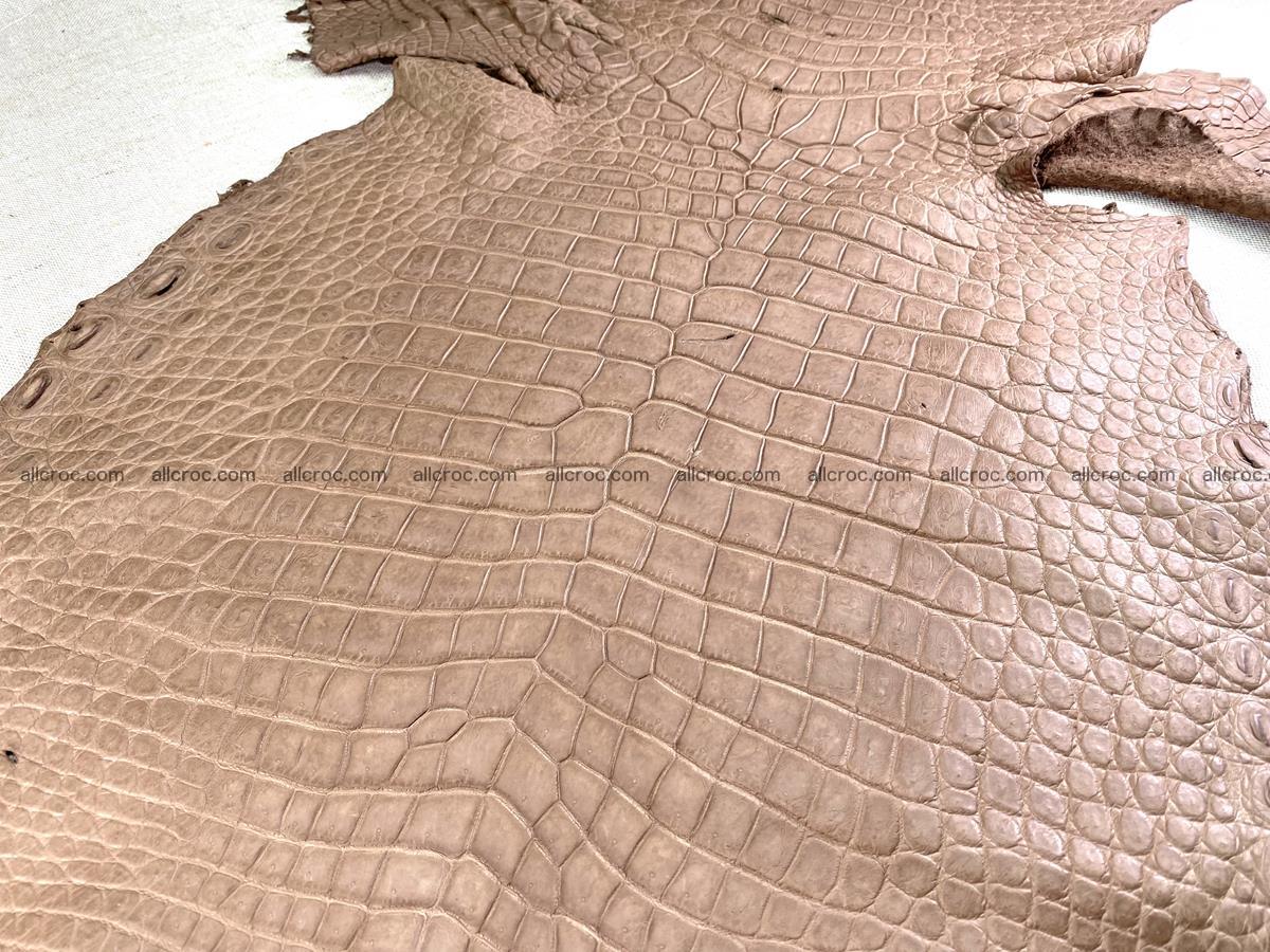 Crocodile skin belly part 42cm brown color 1479 Foto 0