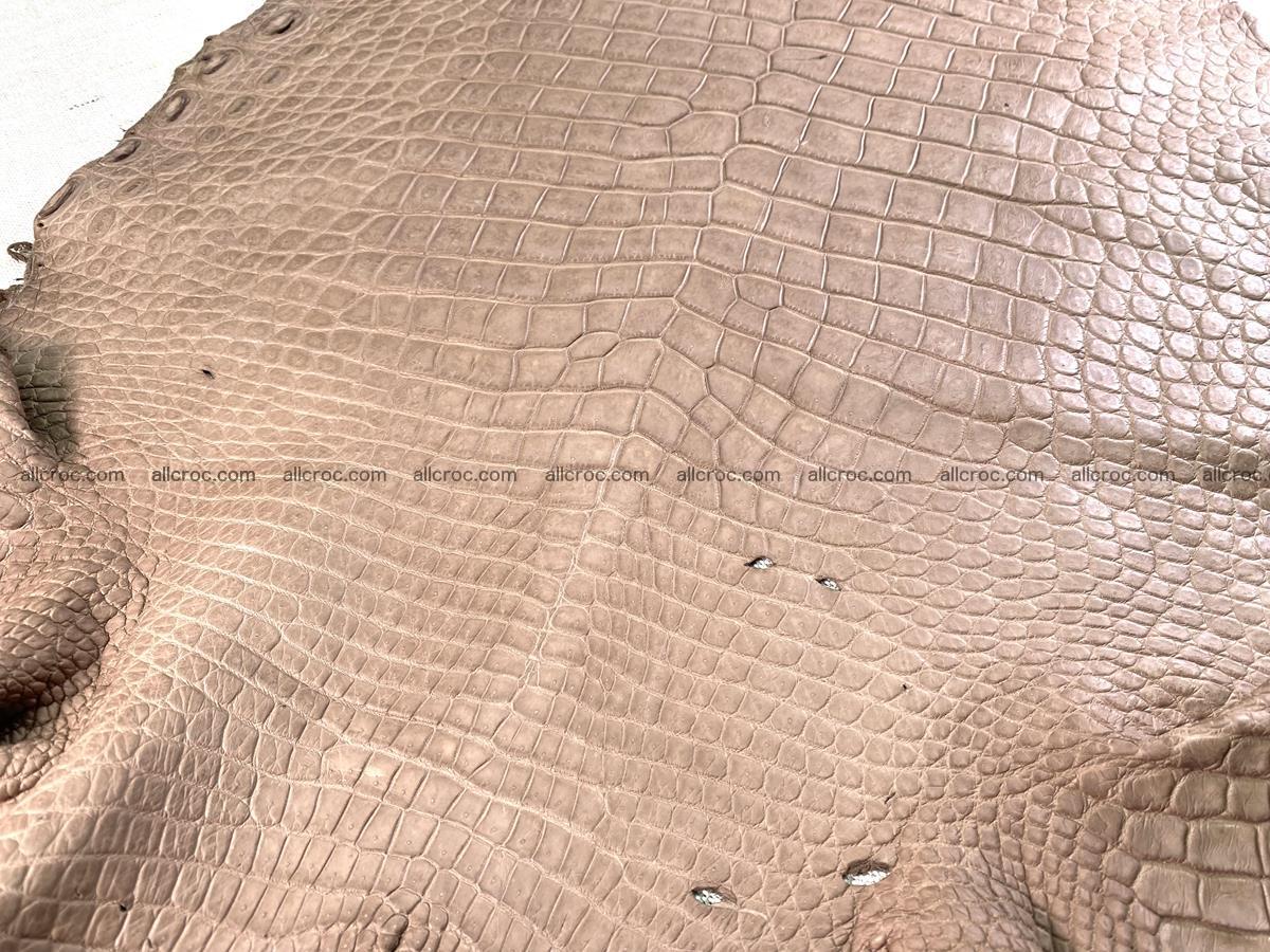 Crocodile skin belly part 42cm brown color 1479 Foto 16