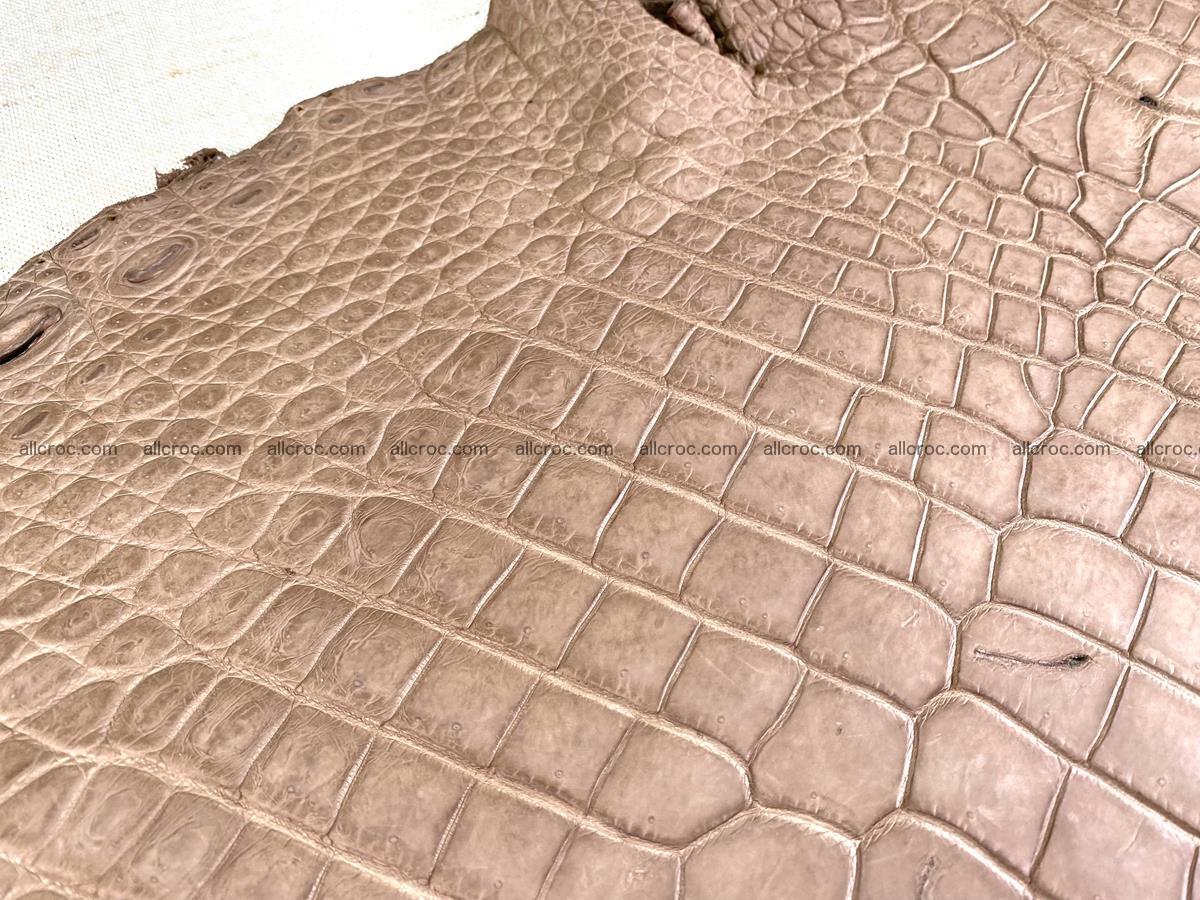 Crocodile skin belly part 42cm brown color 1479 Foto 9
