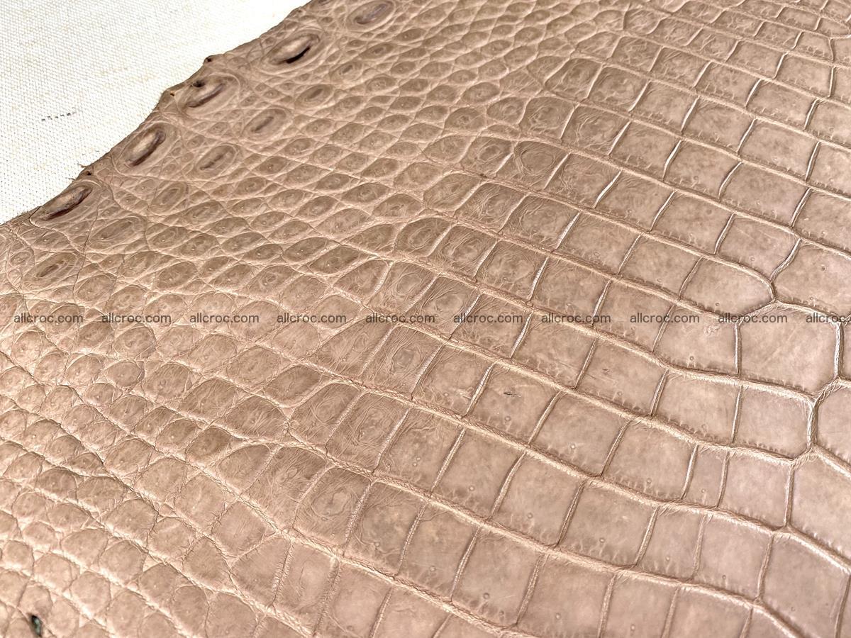 Crocodile skin belly part 42cm brown color 1479 Foto 15